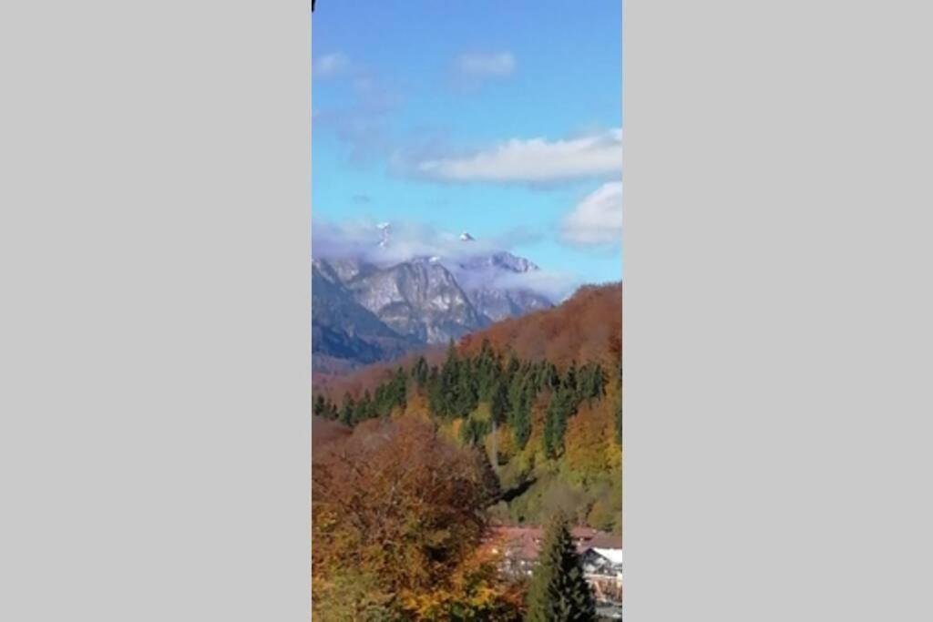 Apartament Erika Sinaia Buitenkant foto