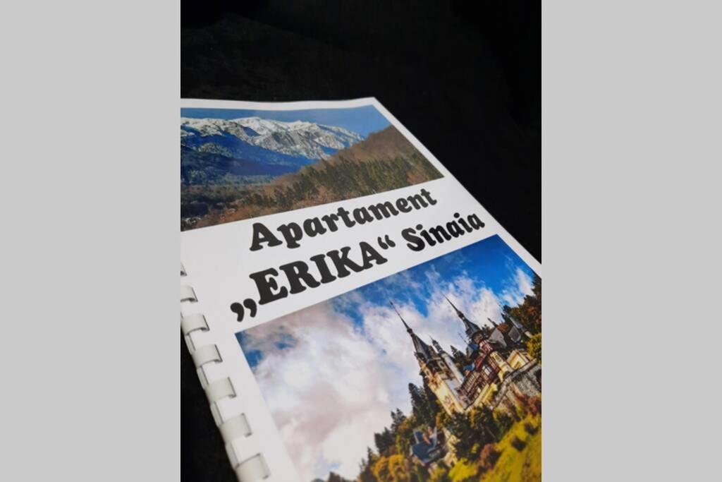 Apartament Erika Sinaia Buitenkant foto