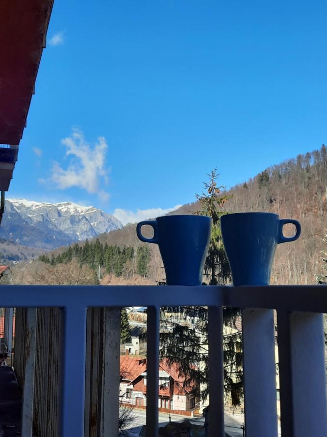 Apartament Erika Sinaia Buitenkant foto