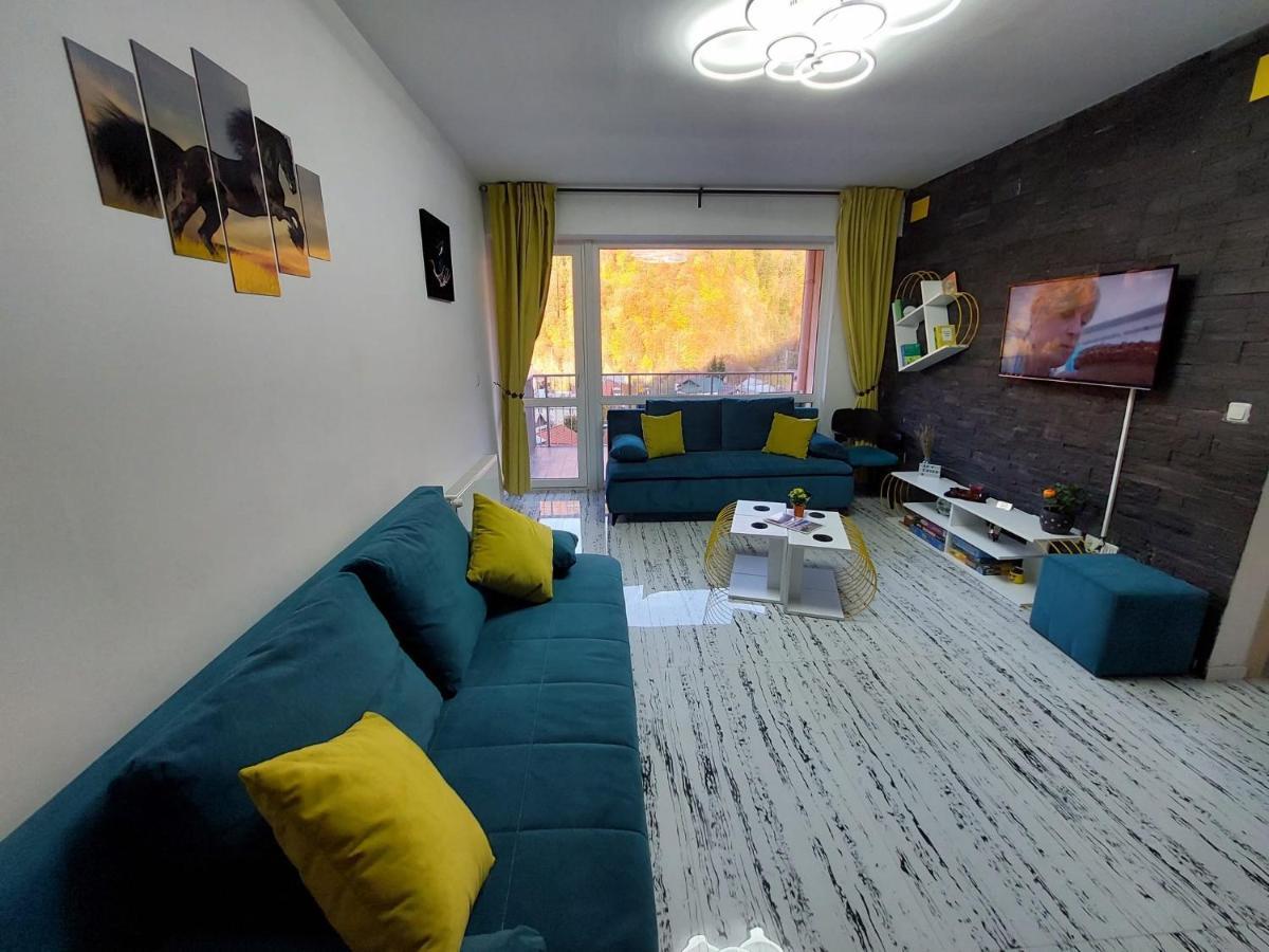 Apartament Erika Sinaia Buitenkant foto