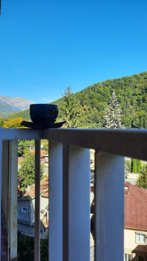 Apartament Erika Sinaia Buitenkant foto